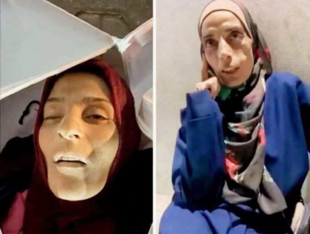 Photo 6084655455457624572 Y 1024x774