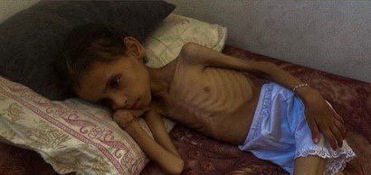 Photo 6089271291170375414 X